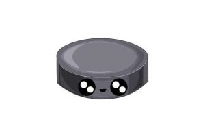 Kawaii Hockey Puck