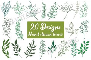 Hand Drawn Leaves Svg Bundle