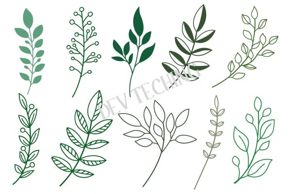 Hand Drawn Leaves Svg Bundle