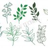 Hand Drawn Leaves Svg Bundle