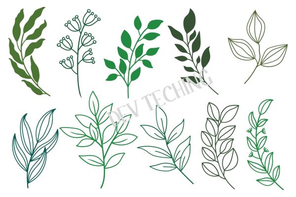 Hand Drawn Leaves Svg Bundle