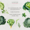 Fruit and Vegetables, Watercolor Bundle