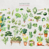 Fruit and Vegetables, Watercolor Bundle