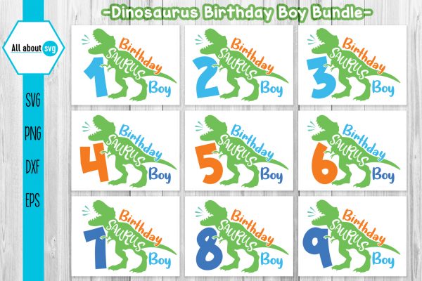 Birthday Dinosaurus Boy Bundle