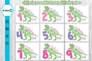 Birthday Dinosaurus Girl Bundle