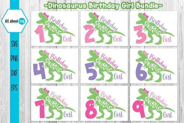 Birthday Dinosaurus Girl Bundle